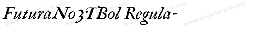 FuturaNo3TBol Regula字体转换